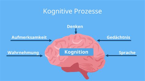 synonyme wahrnehmung|was ist wahrnehmung.